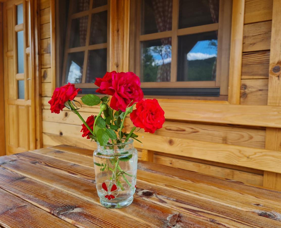 Guest House Rankic Μόκρα Γκόρα Εξωτερικό φωτογραφία